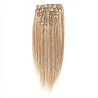Clip on 65 cm 18/613# Blond Mix