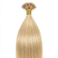 Hot Fusion Hair Extensions 60 cm, Blond 613#